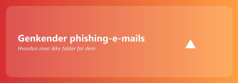 Genkendelse af phishing-e-mails: hvordan man ikke falder for dem