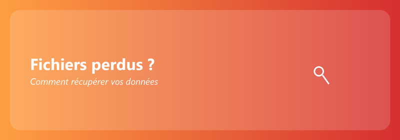 Fichiers perdus ? Comment récupérer vos données