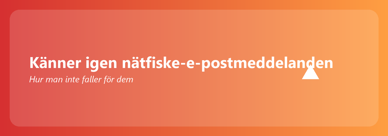 Att känna igen nätfiske-e-postmeddelanden: hur man inte faller för dem