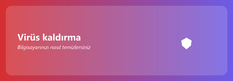 Bir virüsü temizleme: bilgisayarınızı nasıl temizlersiniz